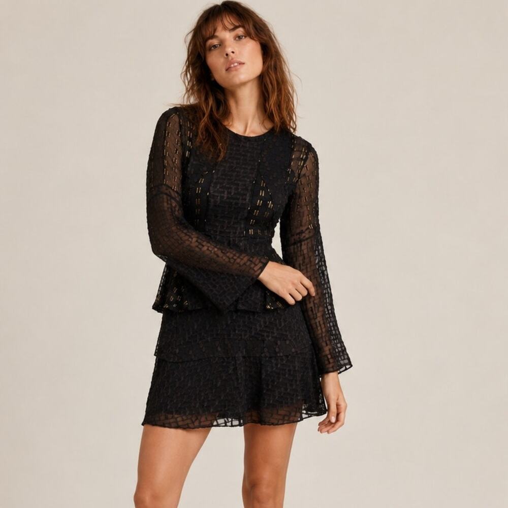 IRO SOPIE Ruffle Sheer Dress with gold metallic Size 34